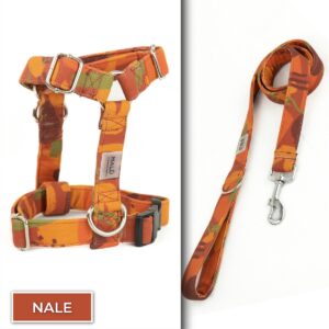 Conjunto No Pull<span> - </span>Nale, S