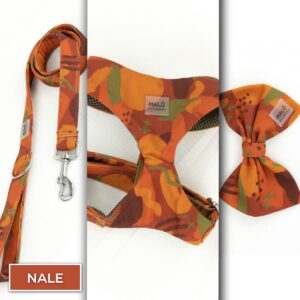 Conjunto Stilo<span> - </span>Nale, XS