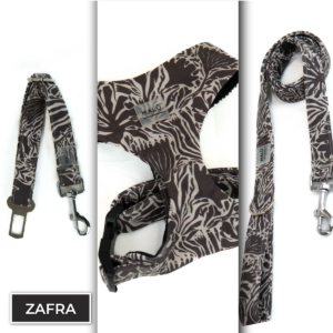 Conjunto Sicuro<span> - </span>Zafra, XS