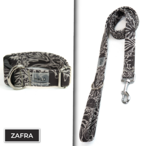 Conjunto Dibase<span> - </span>Zafra, XS