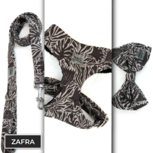 Conjunto Stilo<span> - </span>Zafra, XS