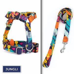 Conjunto No Pull<span> - </span>Jungli, S