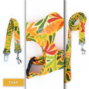 Conjunto Sicuro<span> - </span>Tami, XS