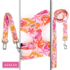 Conjunto Sicuro<span> - </span>Azalea, XS