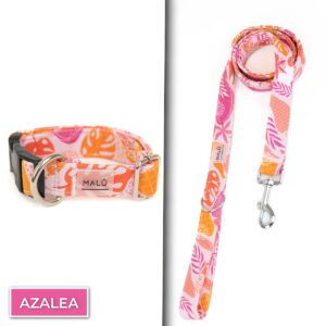 Conjunto Dibase<span> - </span>Azalea, XS