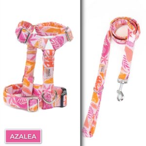 Conjunto No Pull<span> - </span>Azalea, S