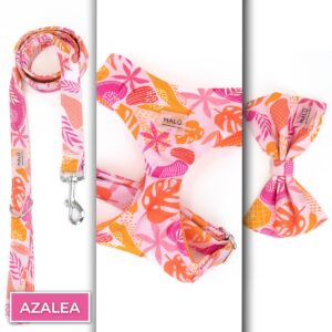 Conjunto Stilo<span> - </span>Azalea, XS