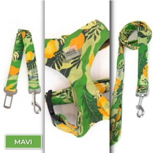 Conjunto Sicuro<span> - </span>Mavi, XS