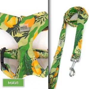 Conjunto Tour<span> - </span>Mavi, XS