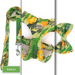 Conjunto Stilo<span> - </span>Mavi, XS