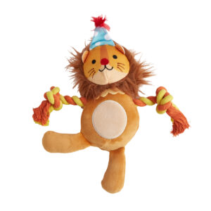 Leãozinho para Roer